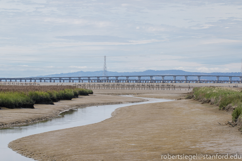 palo alto baylands